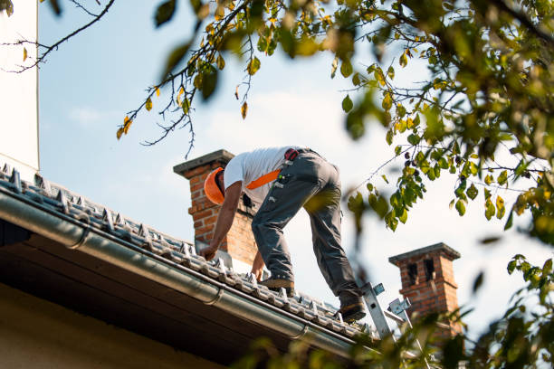 Best Residential Roofing Contractor  in Long Prairie, MN