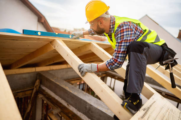 Best Shingle Roofing Installation  in Long Prairie, MN