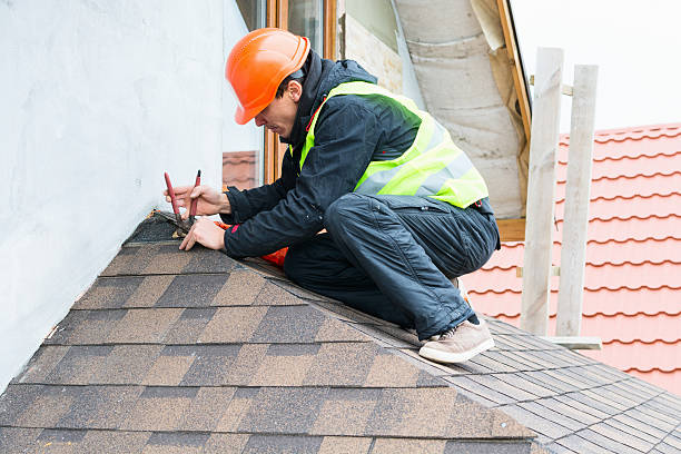 Professional Roofing Contractor in Long Prairie, MN