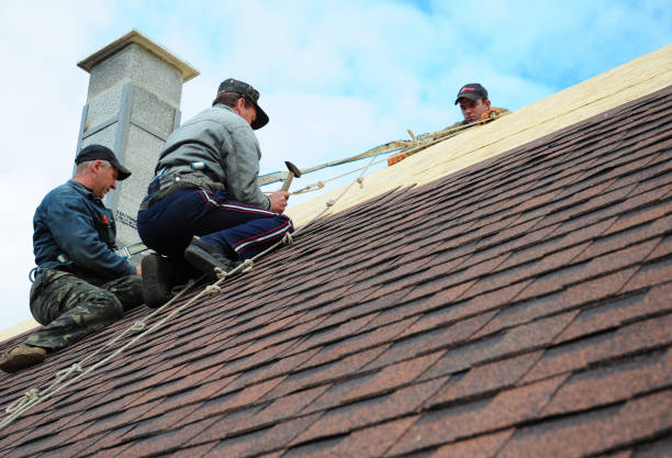 Best Roof Repair Services  in Long Prairie, MN