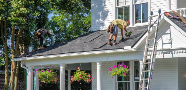 Best Roof Maintenance Services  in Long Prairie, MN